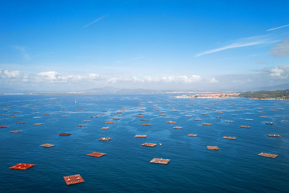 Fish farm, drone panorama view, in the Atlantic Ocean, Arousa Island, Galicia, Spain, Europe