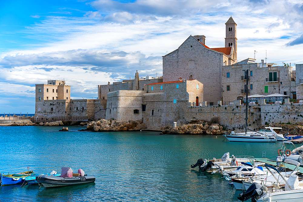 Saint Mary of the Assumption Cathedral with boats in the marina, Giovinazzo, Apulia, Italy, Europe