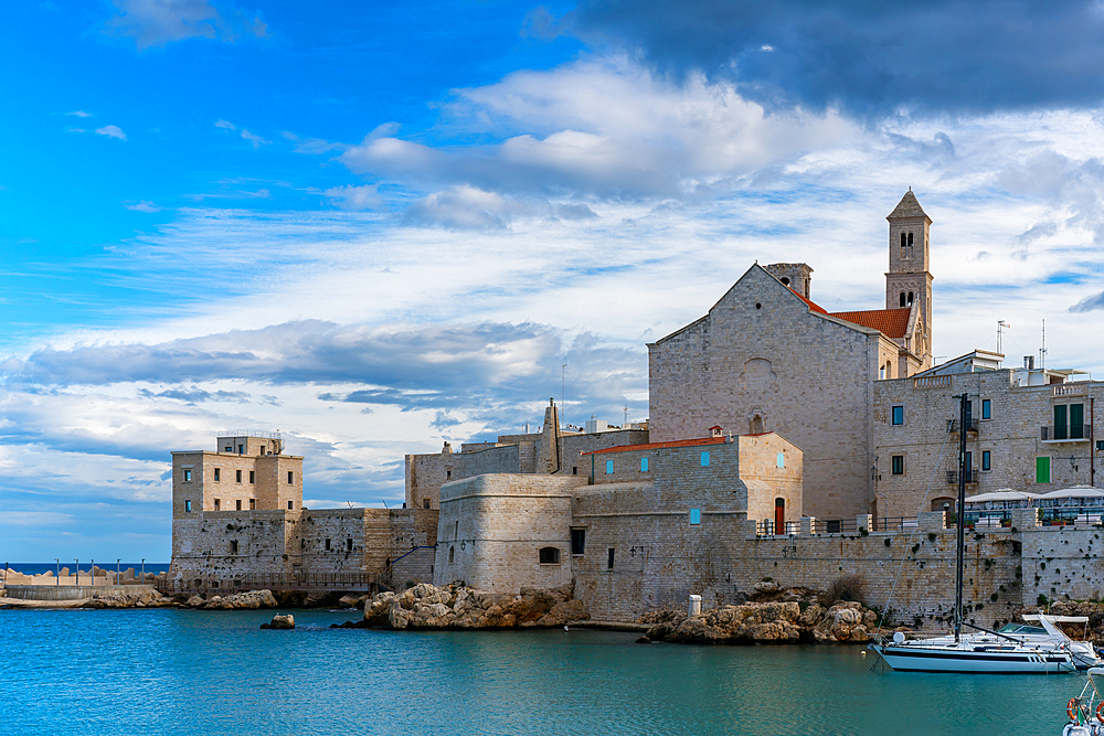 Saint Mary of the Assumption Cathedral with boats in the marina, Giovinazzo, Apulia, Italy, Europe