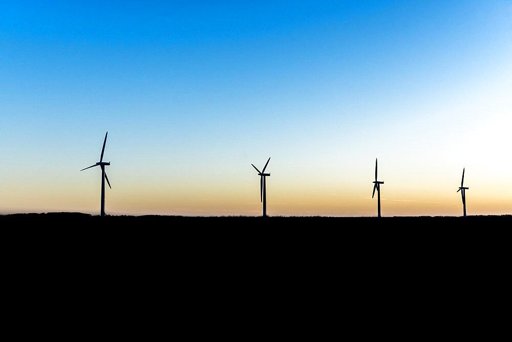 Group of wind turbines at a dawn in silhouette