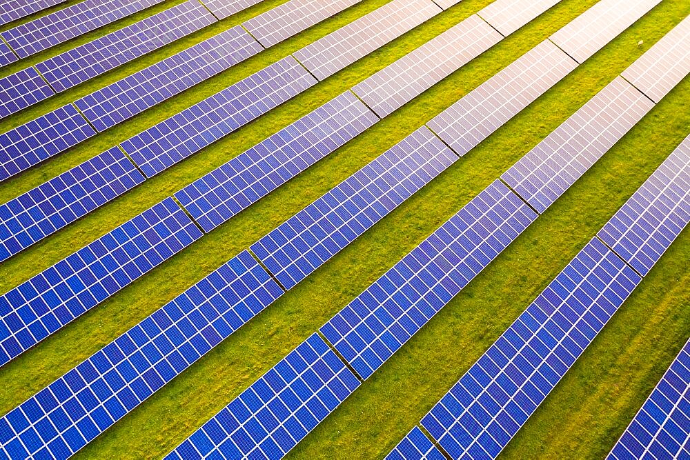 Aerial view looking down onto commercial solar panels at sunrise in the English countryside