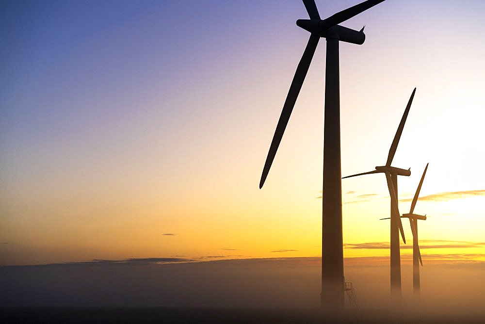 Three commercial wind turbines in thick fog at sunrise in the English countryside