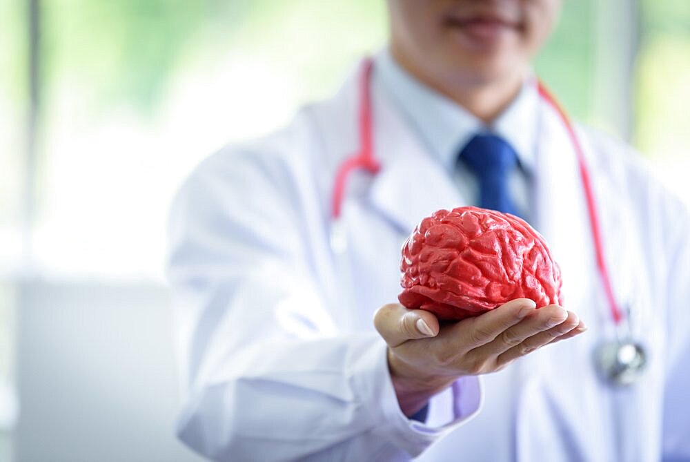 Senior asian scientist man holding brain model.