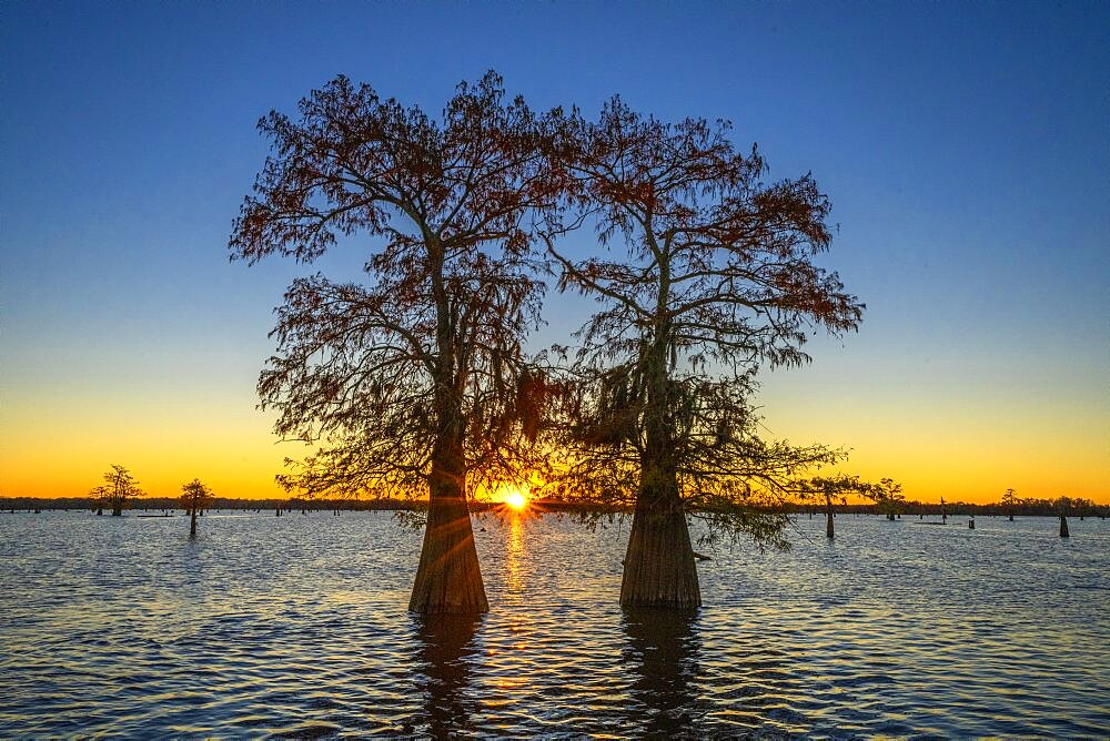 Atchafalaya Basin, Louisiana