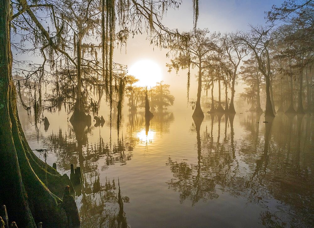 Atchafalaya Basin, Louisiana