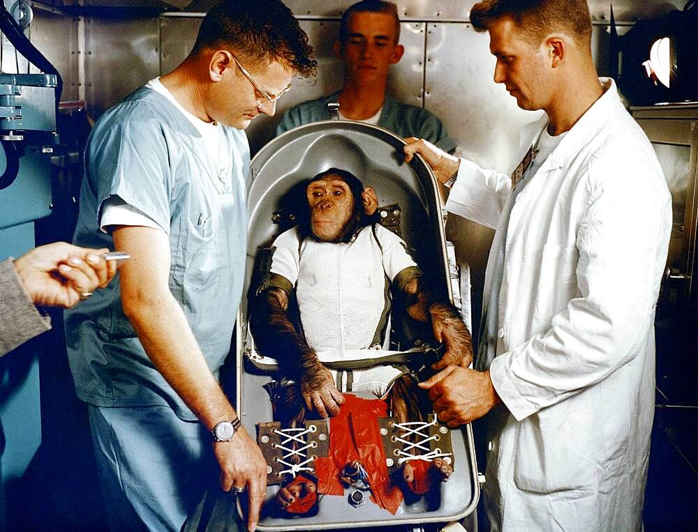 Ham, First Chimpanzee in Space, 1961