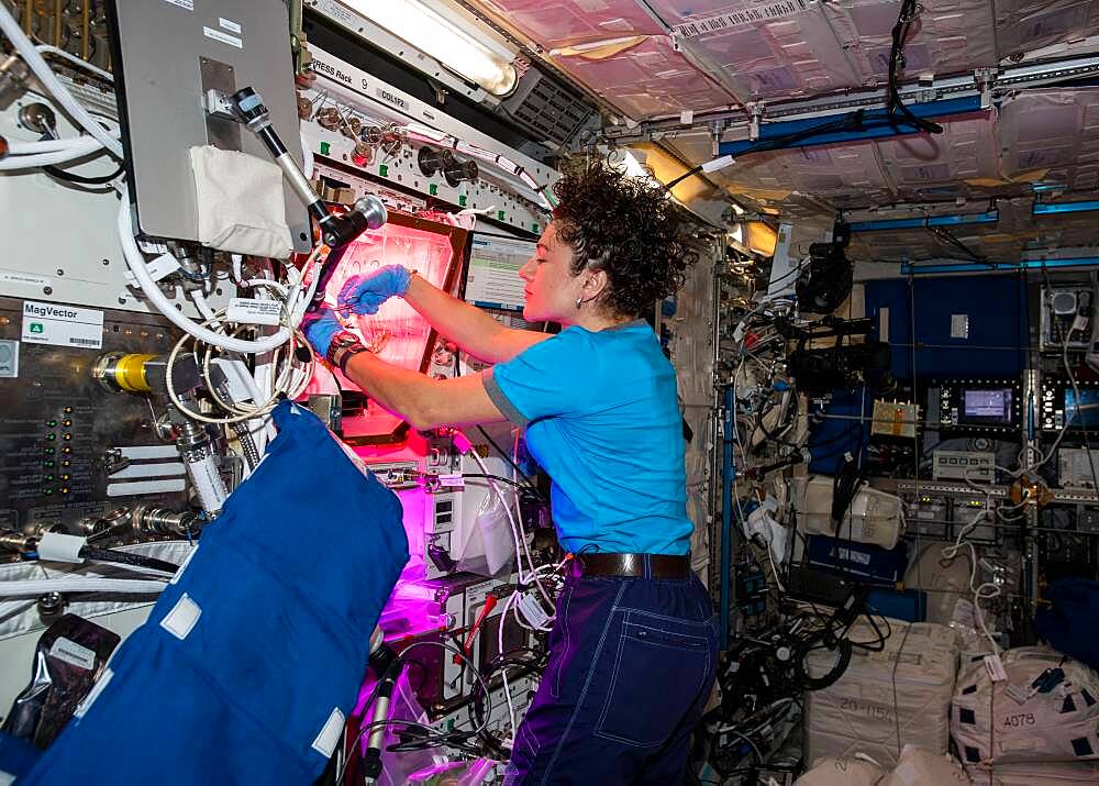 Astronaut Jessica Meir with Space Veggies