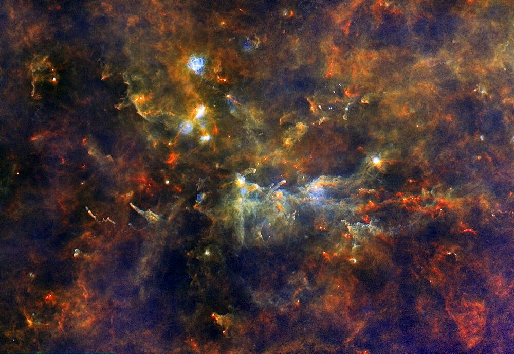 Vulpecula OB1