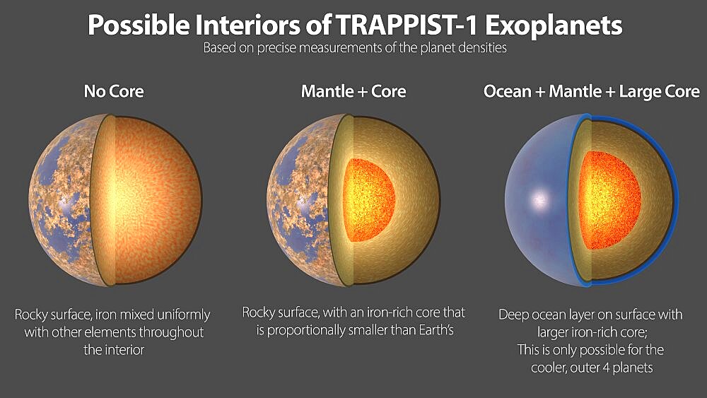 Possible Interiors of TRAPPIST-1 Exoplanets