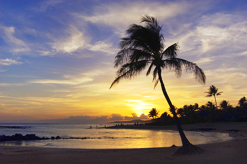 Sunset at Poipu Beach Park with palm tree and swimming cove; Poipu, Kauai, Hawaii.