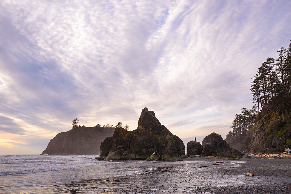 Sea stacks at Ruby Beach, Olympic National Park, Washington.