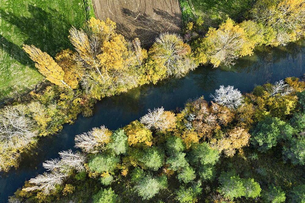 Aerial view of a river with riparian vegetation in autumn. Pyrenees. Navarre, Spain, Europe.