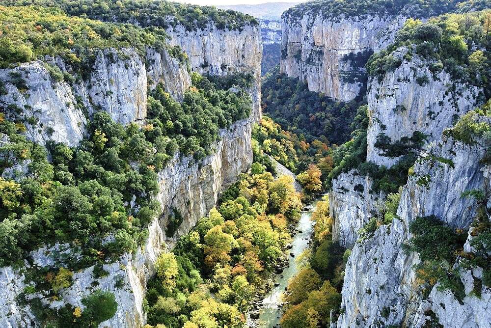 Gorge and river with decidual forest in autumn. Arbayun gorge. Navarre, Spain, Europe.