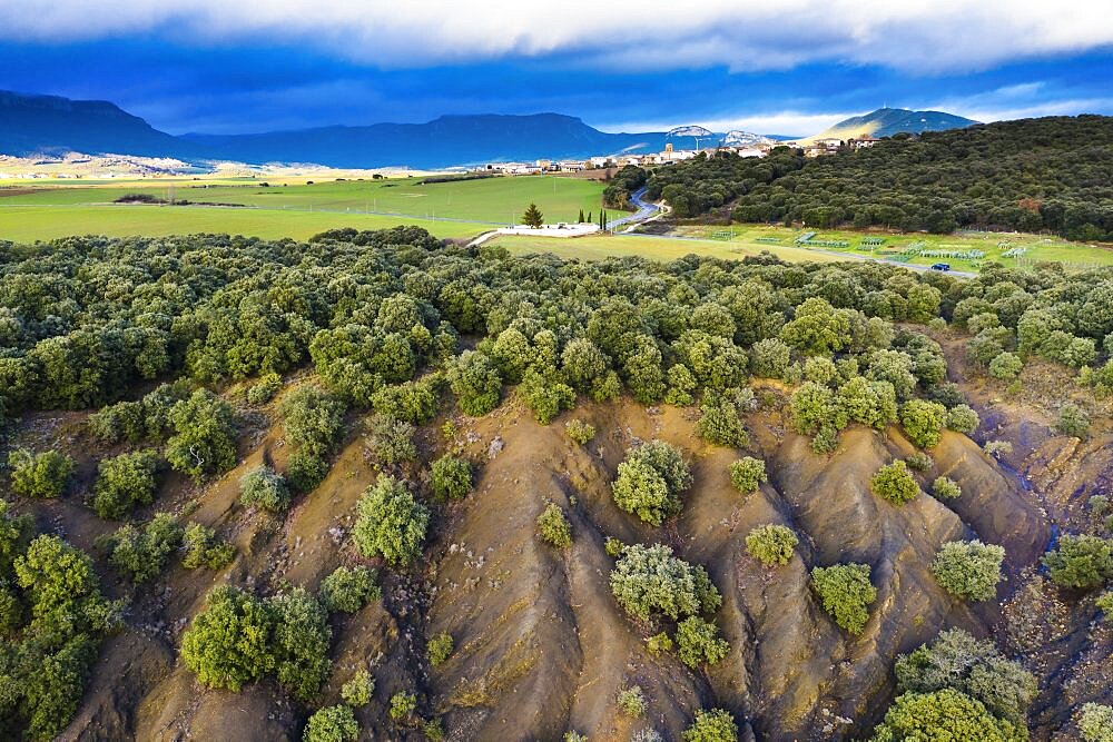 Aerial view of an holm oak grove and mountain range at background. Tierra Estella county. Navarre, Spain, Europe.