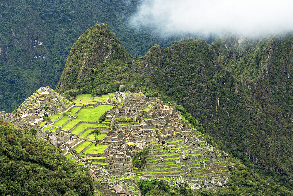 Machu Picchu viewed from the Inka Trail just below Sun Gate; Machu Picchu, Peru.