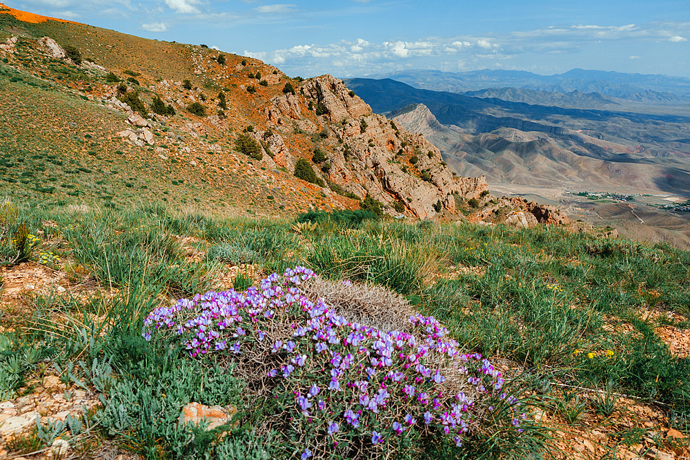 Hiking in Vayots Dzor, known for its red-hued mountains, Armenia (Hayastan), Caucasus, Central Asia, Asia