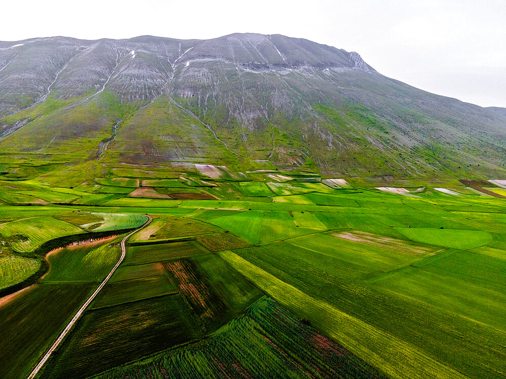 Mount Vettore and the lentil fields as seen from Castelluccio di Norcia, Perugia, Umbria, Italy, Europe