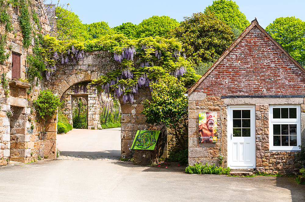 Jersey Zoo (Durrell Wildlife Conservation Trust), established by author and conservationist Gerald Durrell in 1959, Jersey, Channel Islands, Europe