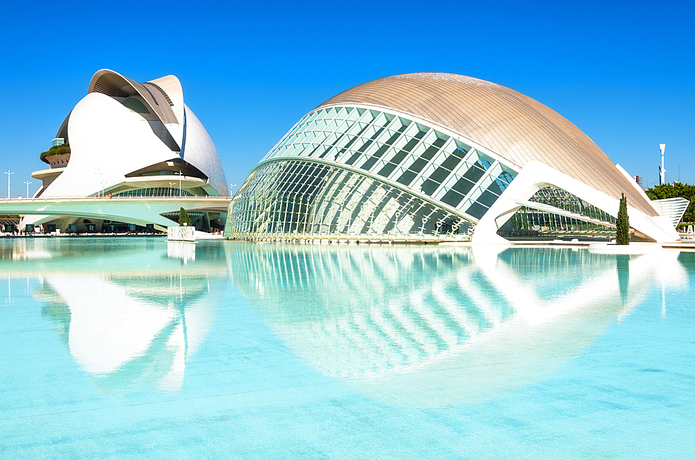 Reflections of Palau de les Arts Reina Sofia (Queen Sofia Palace of the Arts) and Museu de les Ciencies Principe Felipe (Principe Felipe Science Museum) of Ciudad de las Artes y las Ciencias (City of Arts and Sciences), Valencia, Spain, Europe