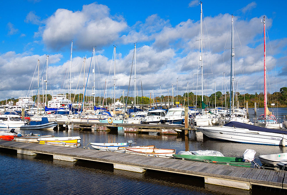 Lymington marina, New Forest, Hampshire, England, United Kingdom, Europe