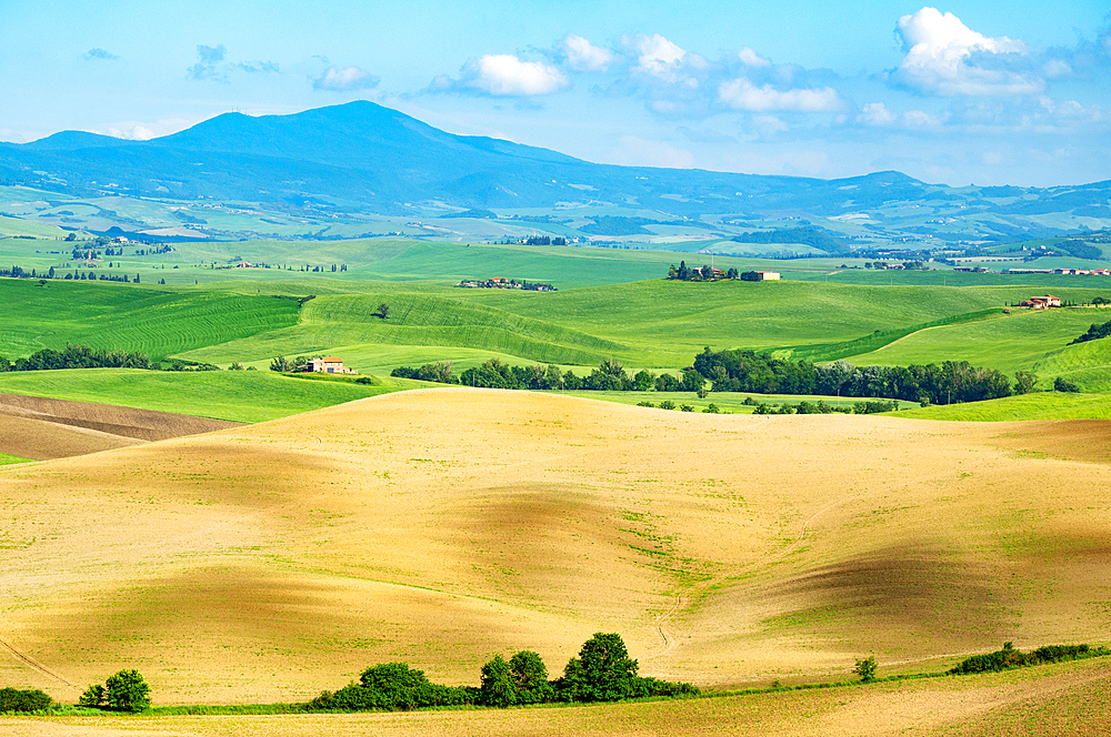 Rolling hills of Val d'Orcia, UNESCO, Tuscany, Italy