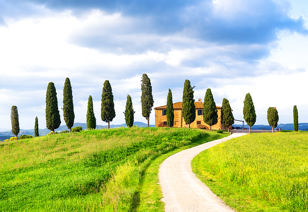 Tuscan farmhouse and cypress trees in Val d'Orcia, UNESCO, Tuscany, Italy