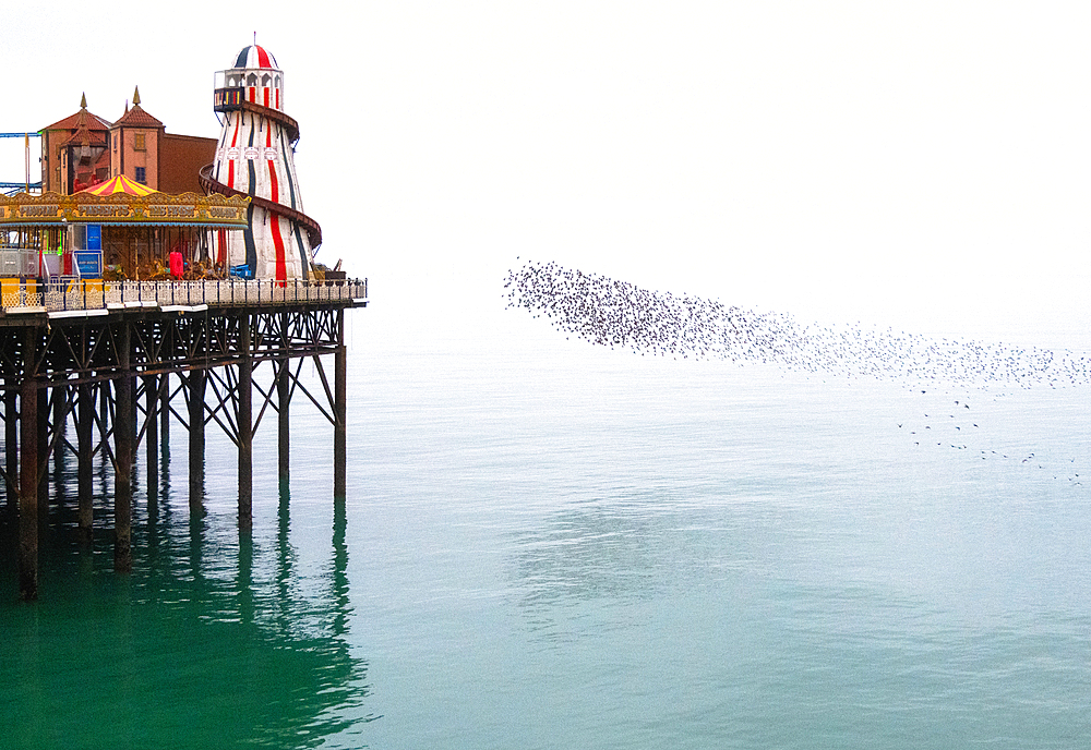 Starling murmuration at sunset next to the Brighton Palace Pier, City of Brighton and Hove, East Sussex, England