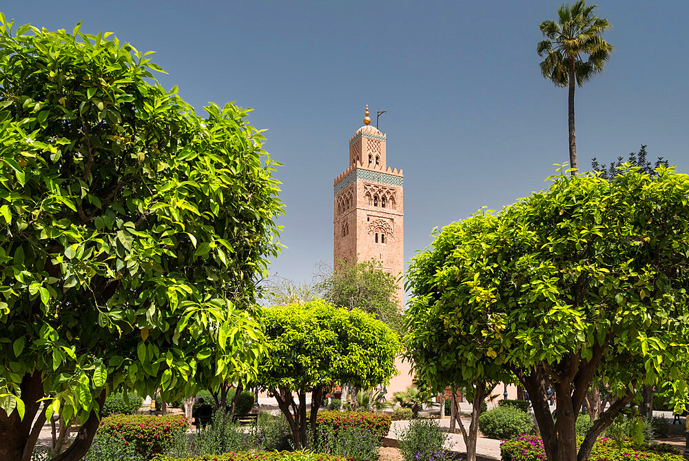 Koutoubia Mosque, UNESCO World Heritage Site, from Koutoubia Gardens, Marrakesh, Morocco, North Africa, Africa