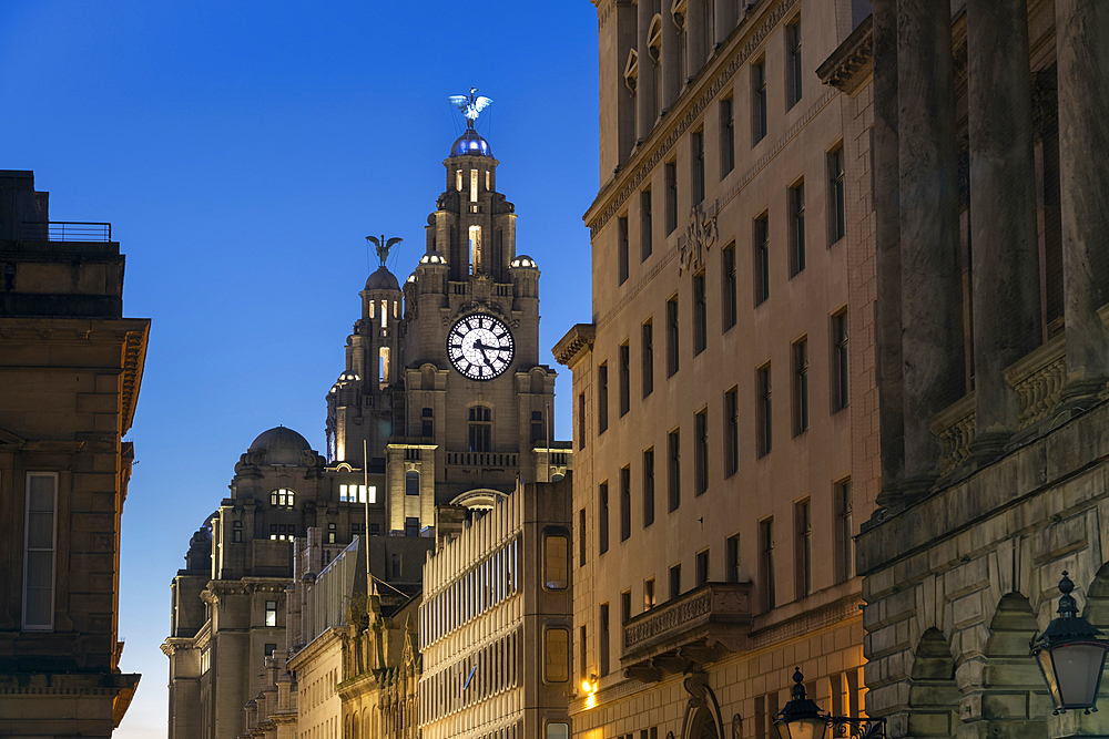 The Liver Building at night, Water Street, Liverpool, Merseyside, England, United Kingdom, Europe