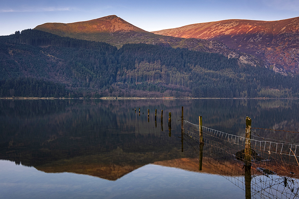 Llyn Cwellyn, the Beddgelert Forest and Y Garn at first light, Snowdonia National Park, Eryri, North Wales, United Kingdom, Europe