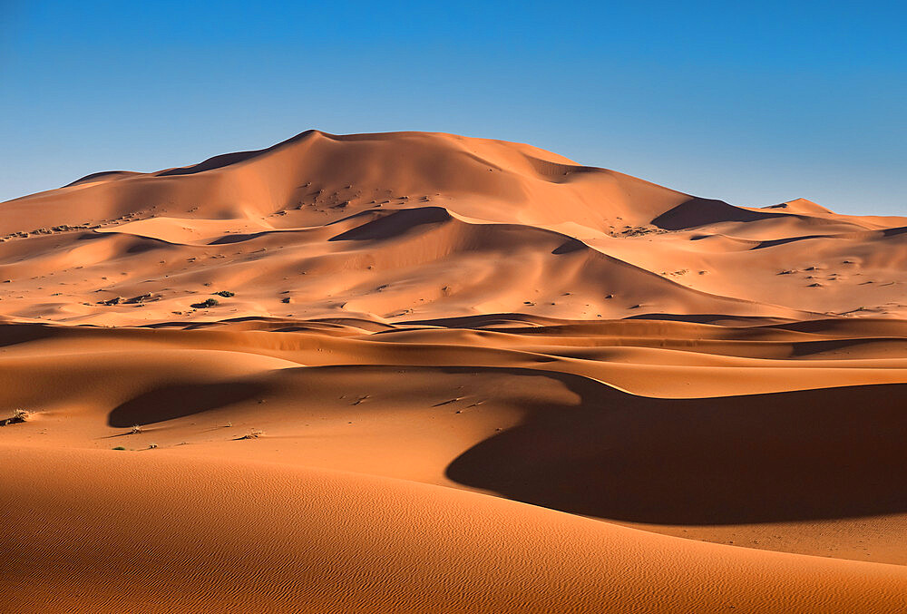 Sand dunes in the Erg Chebbi Desert Dunes, Western Sahara, Morocco, North Africa, Africa