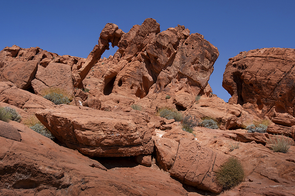 Elephant Rock, Natural Rock Formation, Valley of Fire State Park, Nevada, United States of America, North America