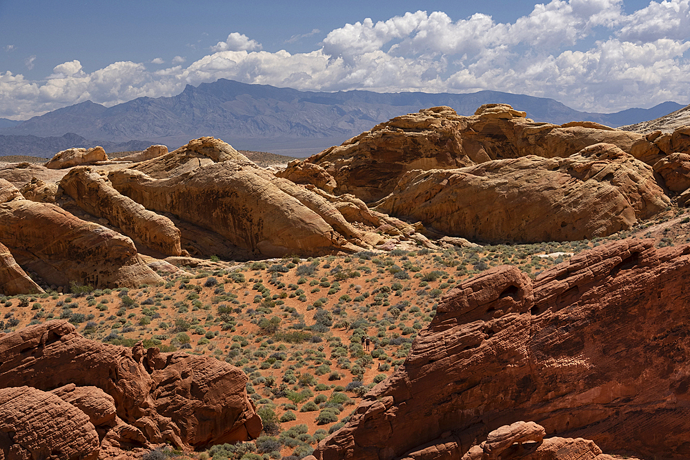 Tourists walk through the desert environment of the Valley of Fire State Park, Nevada, United States of America, North America