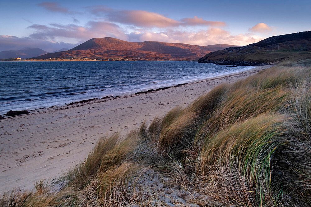 Horgabost Beach Marram Grass Dunes and Beinn Dhubh, Horgabost, Isle of Harris, Outer Hebrides, Scotland, United Kingdom, Europe