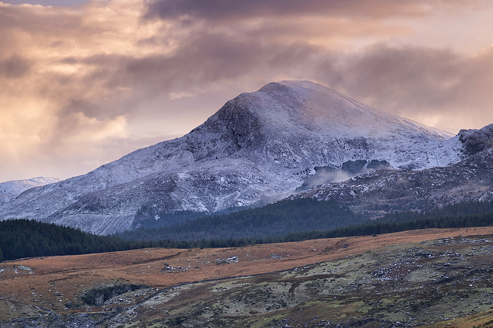 Moel Hebog at sunset in winter, Snowdonia National Park (Eryri), North Wales, United Kingdom, Europe