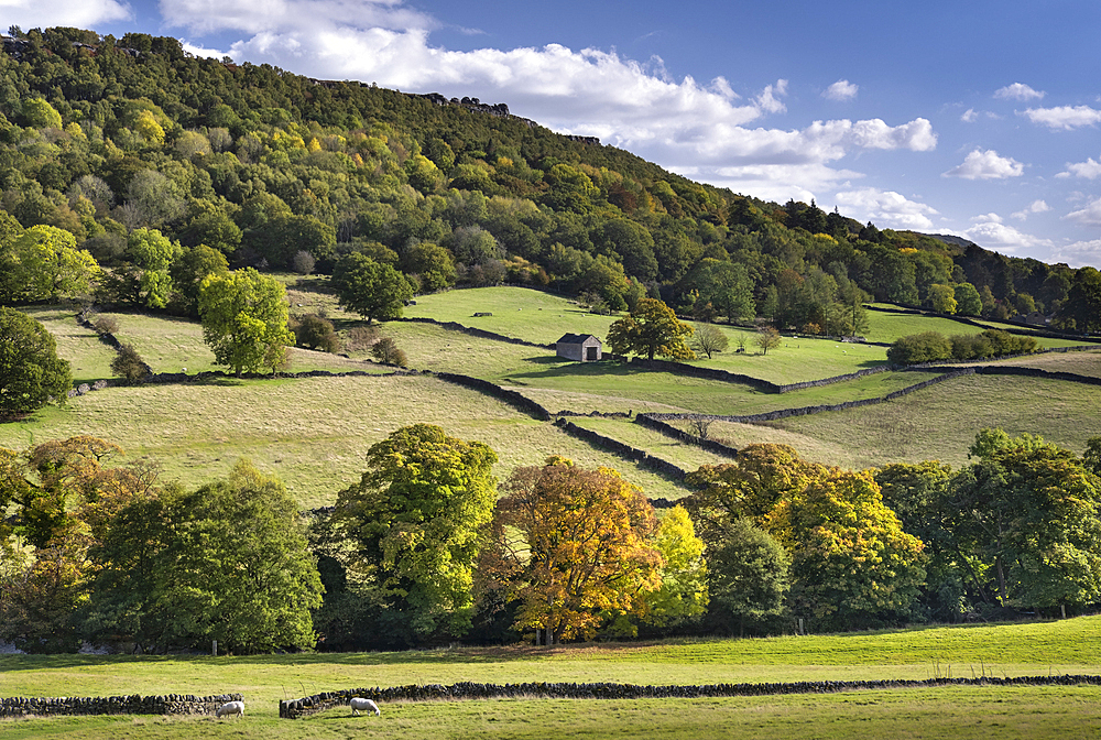 Froggatt Edge at the turn of autumn, near Calver, Peak District National Park, Derbyshire, England, United Kingdom, Europe