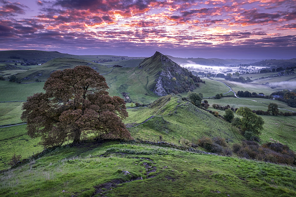 Parkhouse Hill at dawn from Chrome Hill, near Longnor, Peak District National Park, Derbyshire, England, United Kingdom, Europe