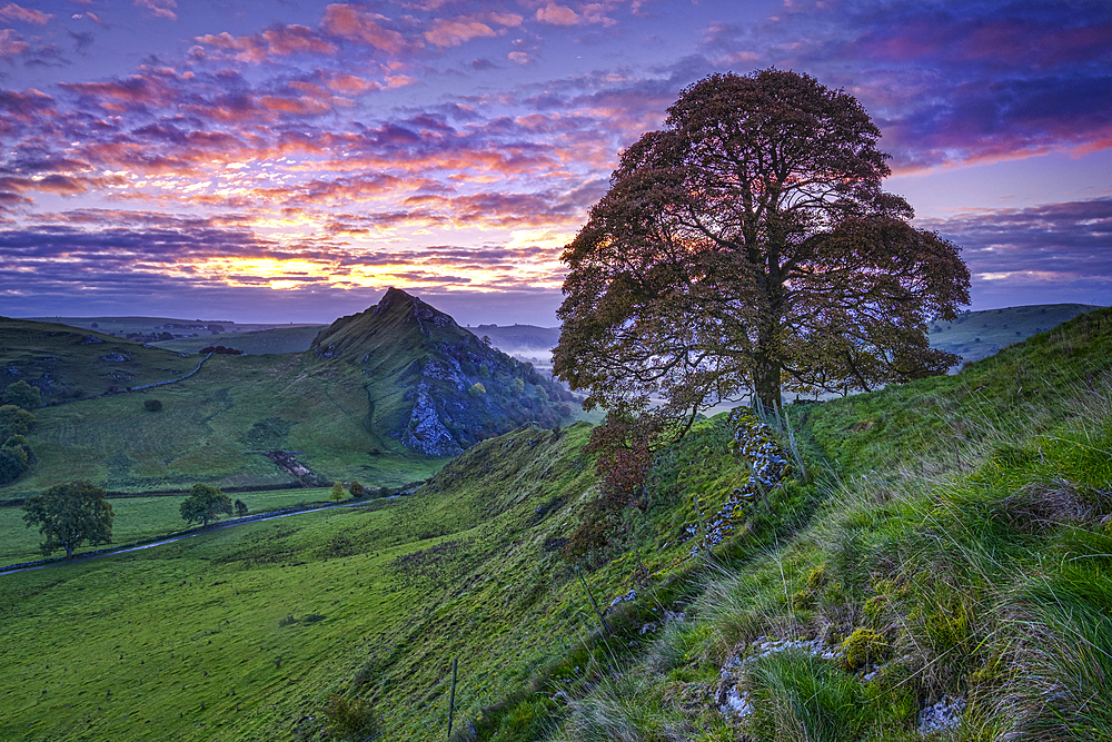 Parkhouse Hill from Chrome Hill at dawn, near Longnor, Peak District National Park, Derbyshire, England, United Kingdom, Europe