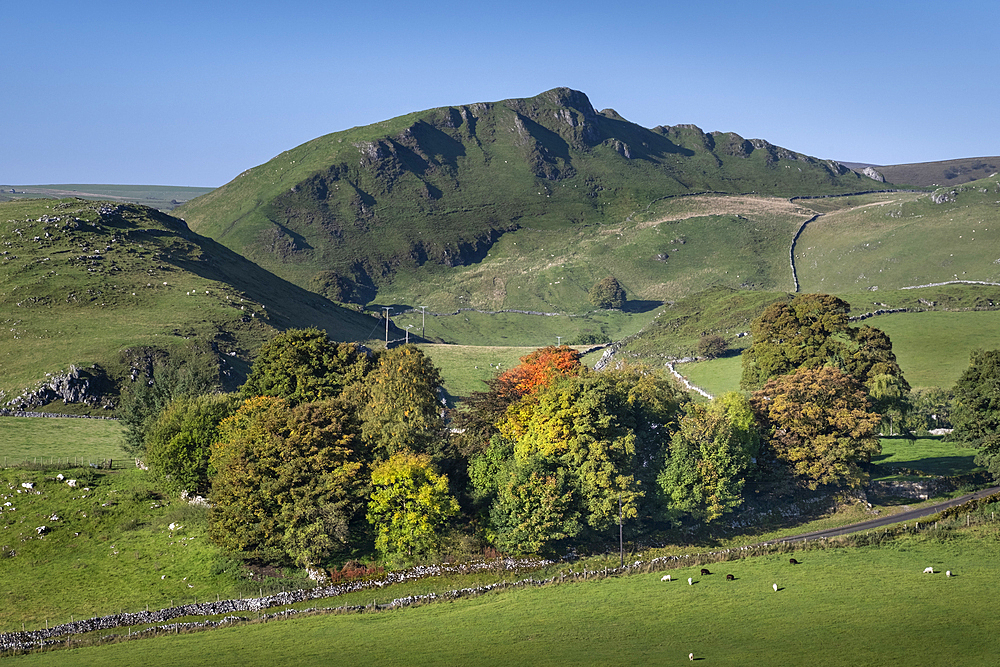 Chrome Hill in autumn, near Longnor, Peak District National Park, Derbyshire, England, United Kingdom, Europe