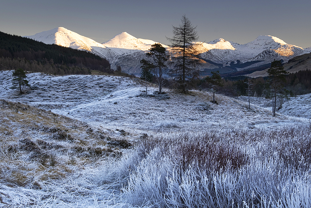 Last light on Ben More and the Crianlarich Hills in winter, Loch Lomond and Trossachs National Park, Scottish Highlands, Scotland, United Kingdom, Europe