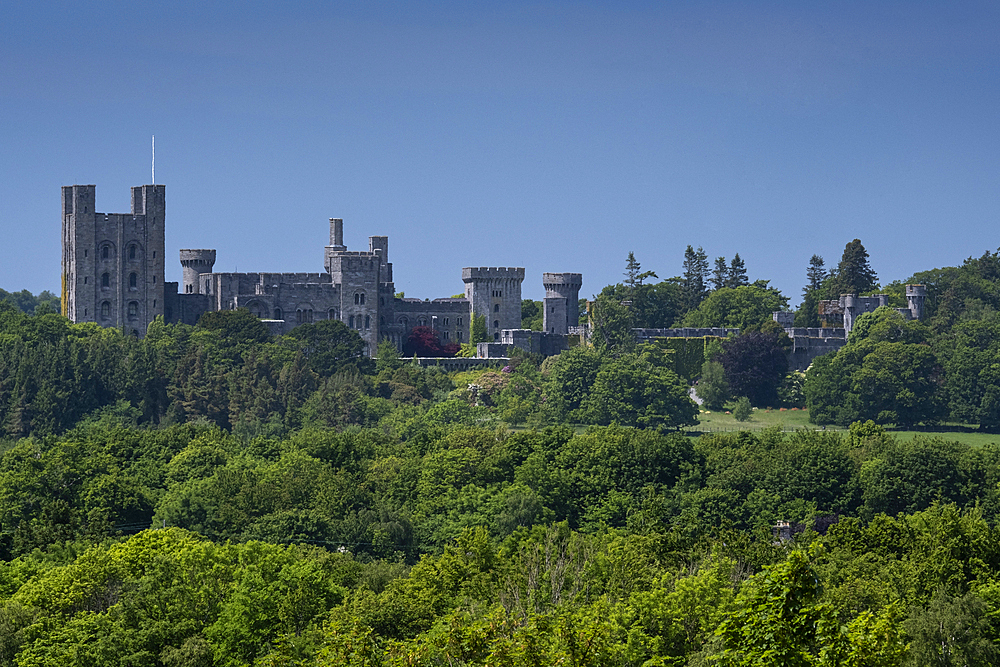 Penrhyn Castle in summer, near Bangor, Gwynedd, North Wales, United Kingdom, Europe