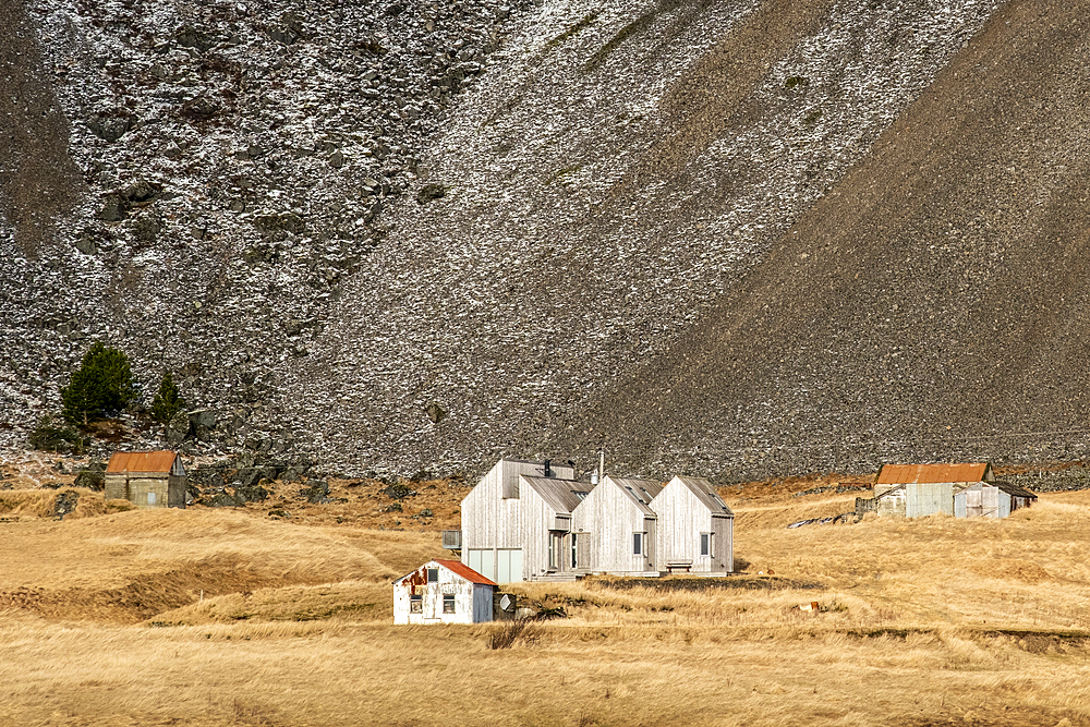 Icelandic Farmstead below Mount Eystrahorn in winter, Krossanesfjall Mountains, Southeast Iceland, Europe