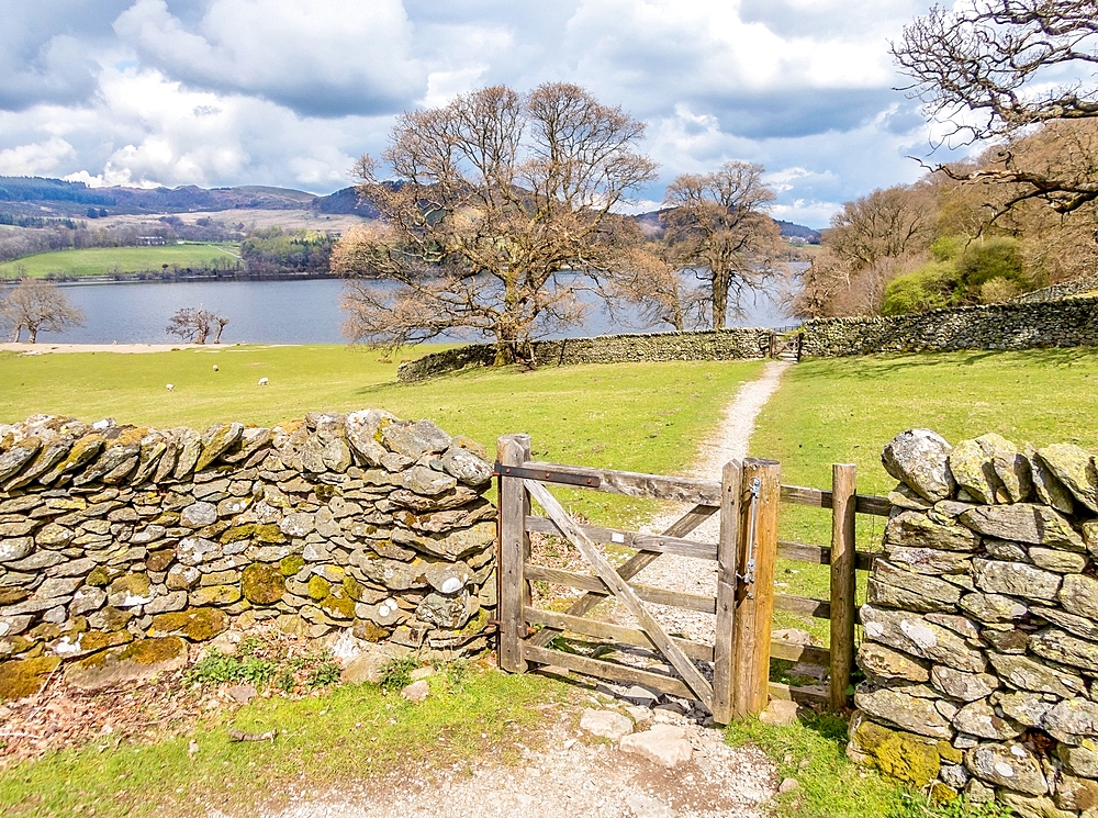 Dry stone wall and gate on a trail that follows the southern shore of Ullswater, Lake District National Park, UNESCO Worl Heritage Site, Cumbria, England, United Kingdom, Europe