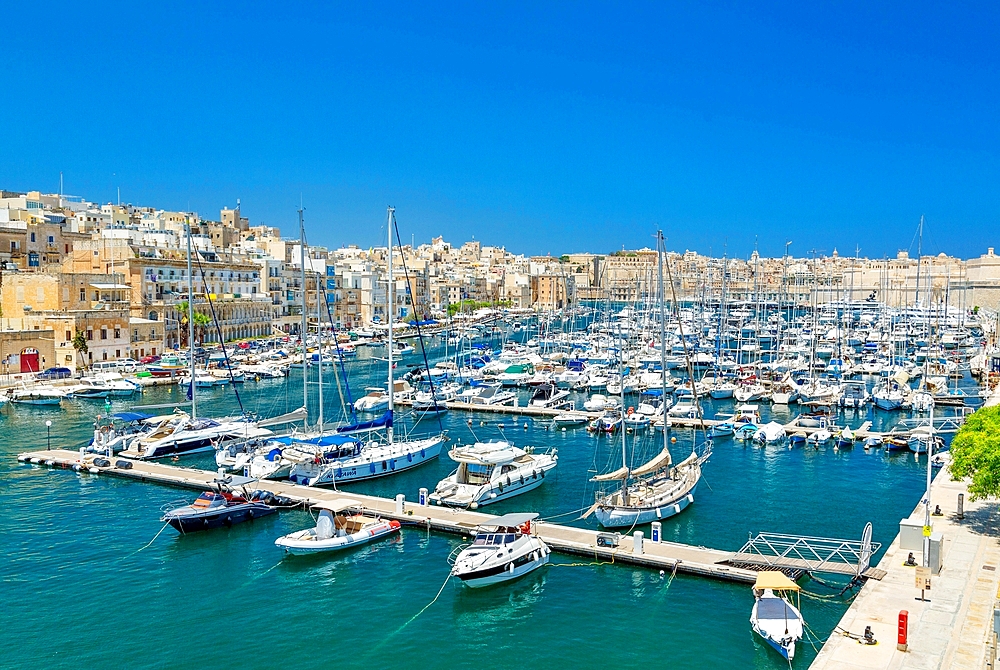 The Vittoriosa Yacht Marina, Valletta, Malta, Mediterranean, Europe