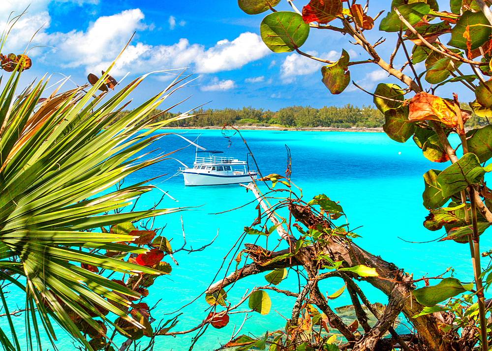 A boat from the local Aquarium and Zoo moored off the Nonsuch Island, Nature Reserve or Living Museum, Bermuda, North Atlantic, North America