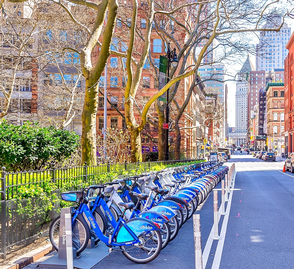 Bicycles for rent under the Citi Bike system which provides  33000 bikes for rent at 1900 stations, New York City, United States of America, North America