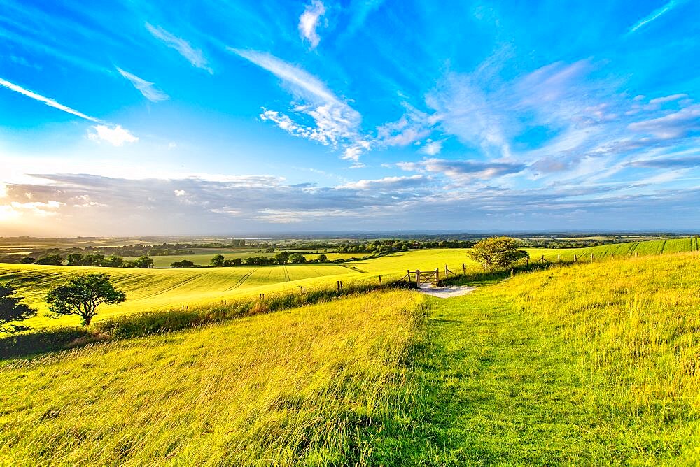 The South Downs National Park near Wilmington, East Sussex on a summer's evening.