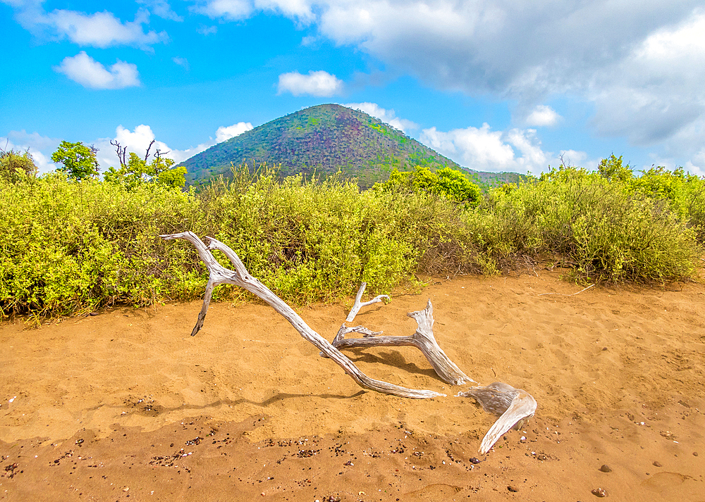 Champion Islet and Cormorant Point, Floreana Island, Galapagos, UNESCO World Heritage Site, Ecuador, South America