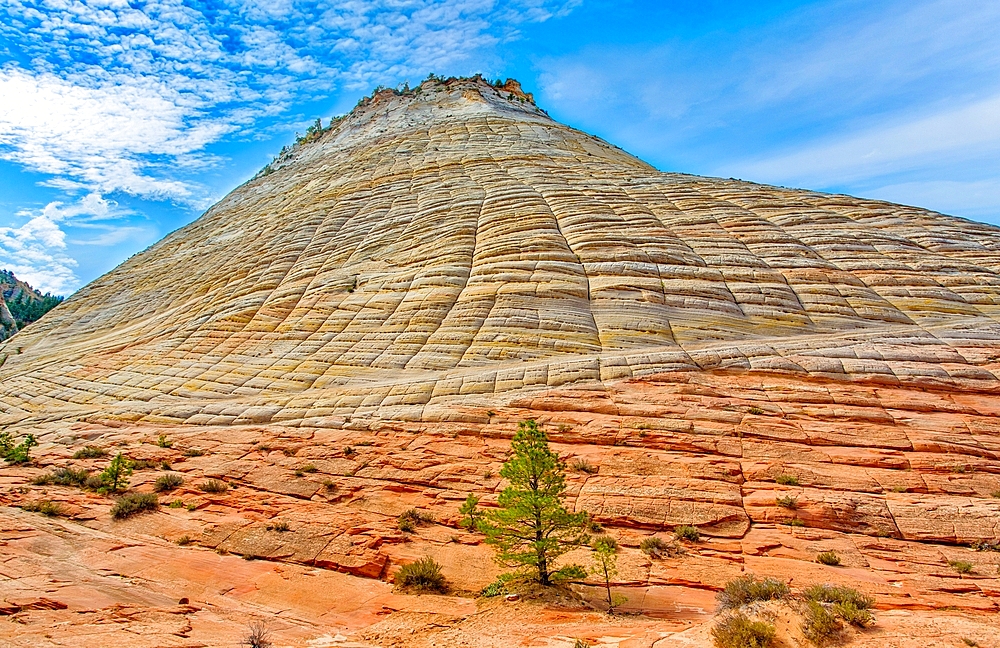 Checkerboard Mesa, a sandstone peak standing 900 feet high, in Kane County, Zion National Park, Utah, United States of America, North America