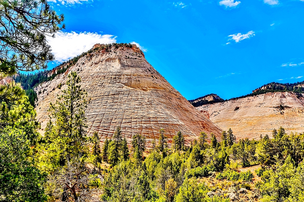 Checkerboard Mesa, a sandstone peak in Kane County, Zion National Park in Utah, USA. The distinctive checkerboard markings are the result of water freezing and expanding on the surface and traces of long disappeared sands. It stands some 900 feet high.